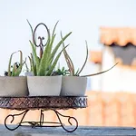 Guest house Aegean Blue - Stivachtis 3*
