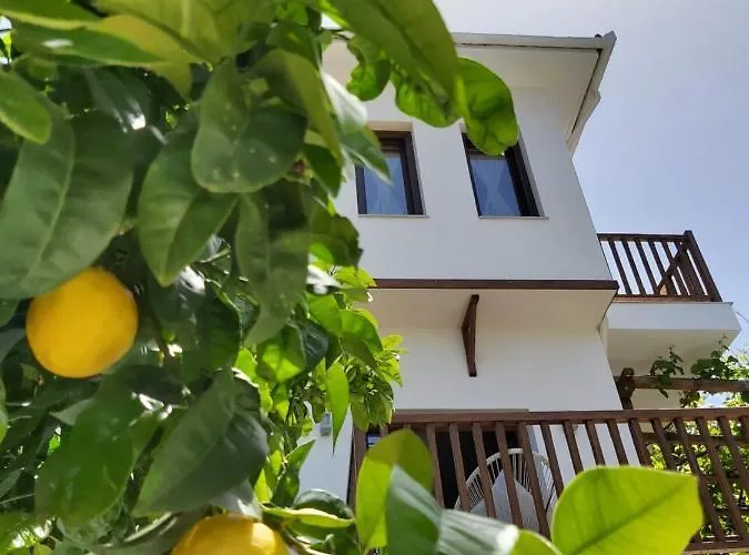 Aegean Blue - Stivachtis Agios Ioannis (Thessaly)