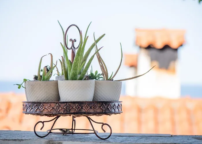 Affittacamere Aegean Blue - Stivachtis 3*