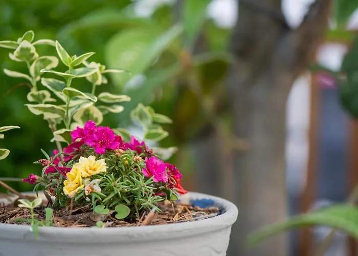 Aegean Blue - Stivachtis Agios Ioannis (Thessaly)