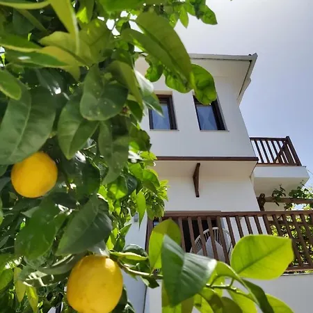 Aegean Blue - Stivachtis Agios Ioannis (Thessaly)