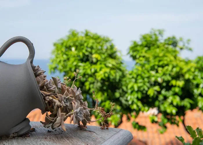 Aegean Blue - Stivachtis 3* Agios Ioannis (Thessaly)